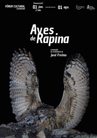Aves de Rapina, Exposição Fotográfica