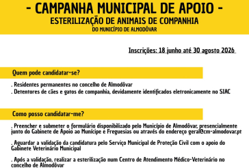 Esterilização