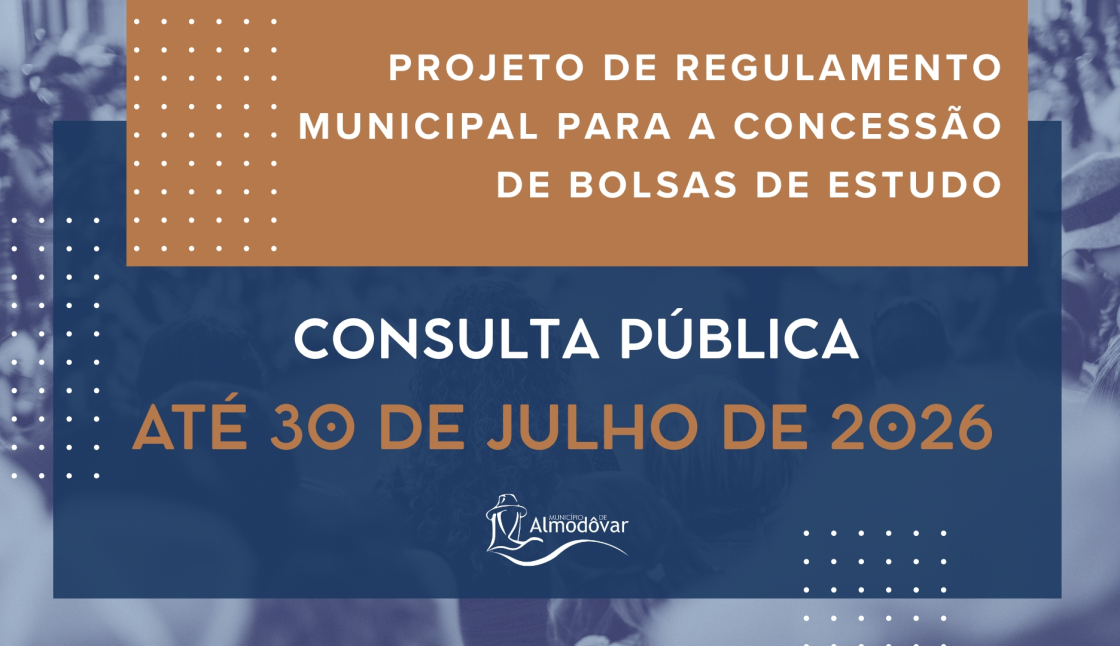 Consulta Pública