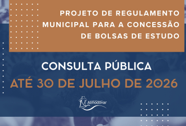 Consulta Pública