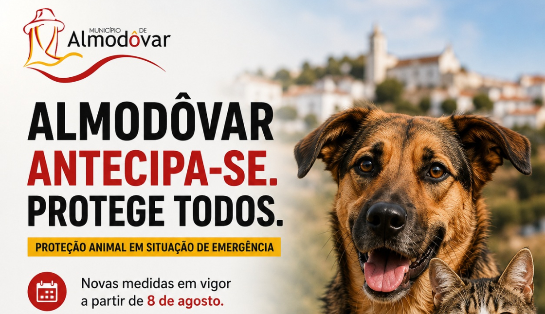 Animais