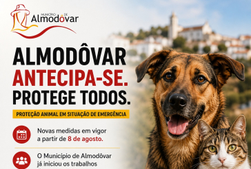 Animais