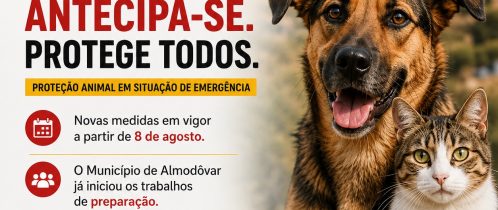 Almodôvar prepara implementação das novas medidas de proteção dos animais em situação de emergência