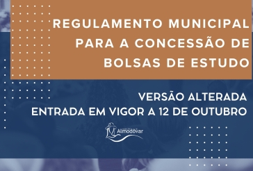 Regulamento Bolsas de Estudo